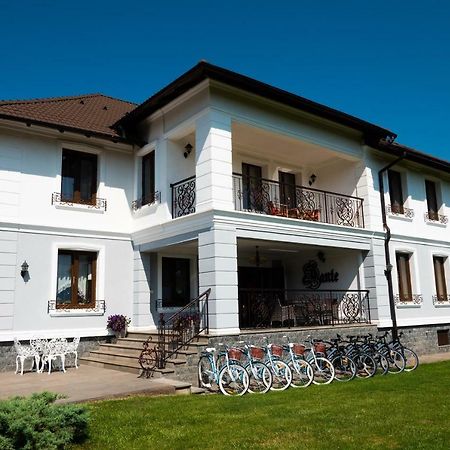 Conacul Dante Hotel Pianu de Jos Exterior foto